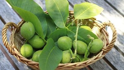 dió a papillómák eltávolítására